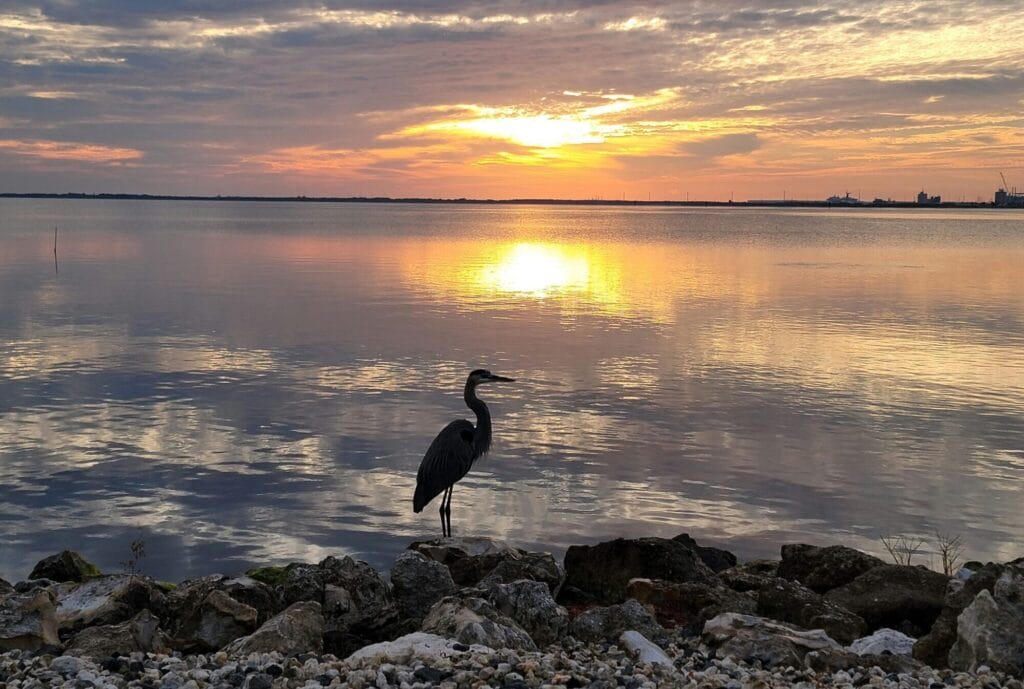 puesta de sol en el agua