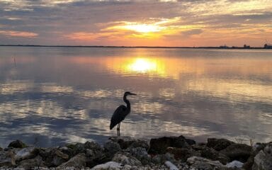 puesta de sol en el agua